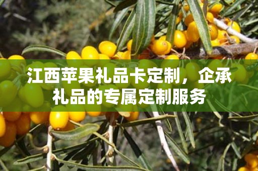 江西苹果礼品卡定制，企承礼品的专属定制服务