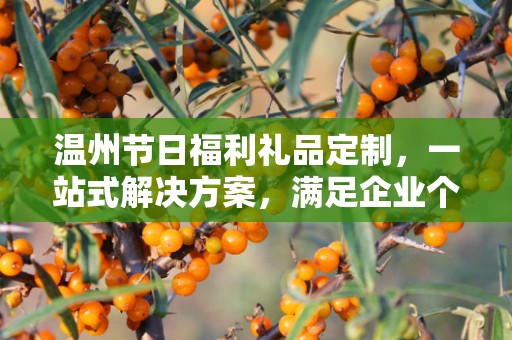 温州节日福利礼品定制，一站式解决方案，满足企业个性化需求
