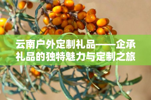 云南户外定制礼品——企承礼品的独特魅力与定制之旅
