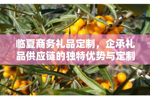 临夏商务礼品定制，企承礼品供应链的独特优势与定制之旅