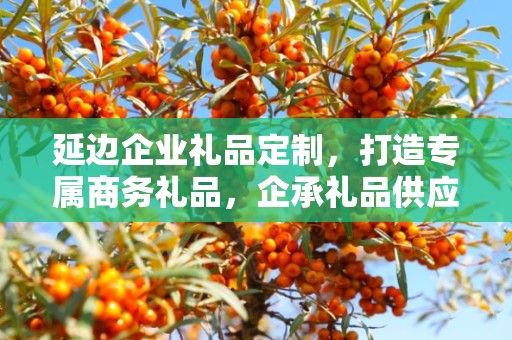延边企业礼品定制，打造专属商务礼品，企承礼品供应链为您一站式服务
