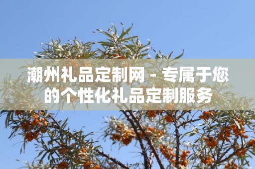 潮州礼品定制网 - 专属于您的个性化礼品定制服务
