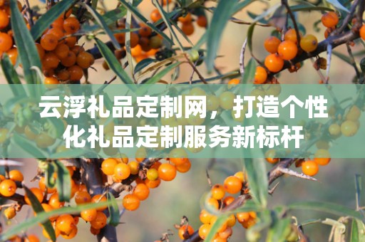 云浮礼品定制网，打造个性化礼品定制服务新标杆