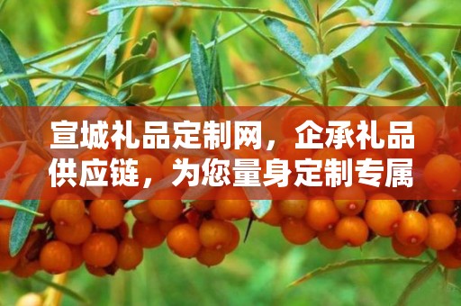 宣城礼品定制网，企承礼品供应链，为您量身定制专属礼品