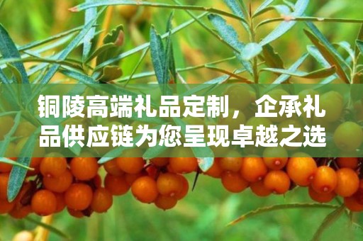铜陵高端礼品定制，企承礼品供应链为您呈现卓越之选