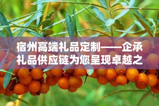 宿州高端礼品定制——企承礼品供应链为您呈现卓越之选