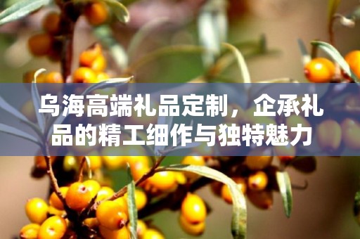乌海高端礼品定制，企承礼品的精工细作与独特魅力