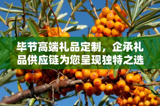 毕节高端礼品定制，企承礼品供应链为您呈现独特之选