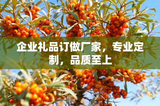 企业礼品订做厂家，专业定制，品质至上
