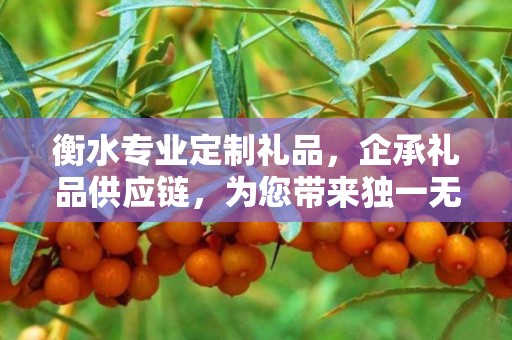 衡水专业定制礼品，企承礼品供应链，为您带来独一无二的礼品体验