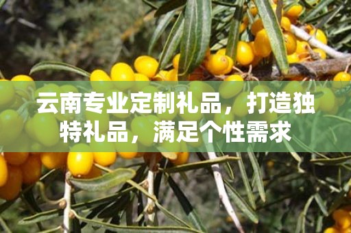 云南专业定制礼品，打造独特礼品，满足个性需求
