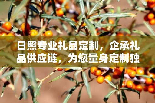 日照专业礼品定制，企承礼品供应链，为您量身定制独特礼品