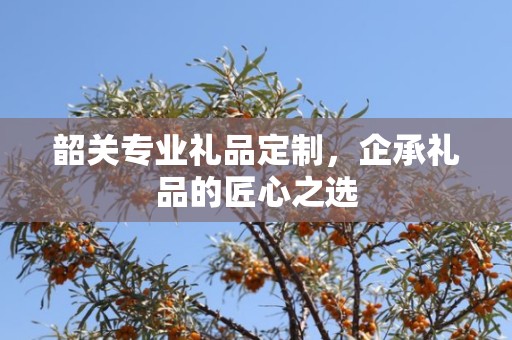 韶关专业礼品定制，企承礼品的匠心之选