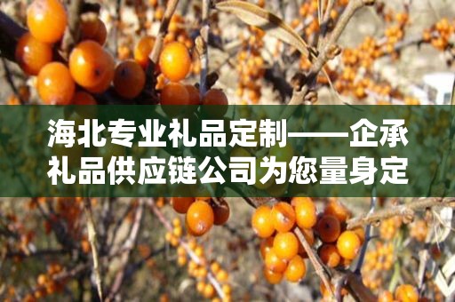 海北专业礼品定制——企承礼品供应链公司为您量身定制专属礼品