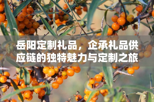 岳阳定制礼品，企承礼品供应链的独特魅力与定制之旅