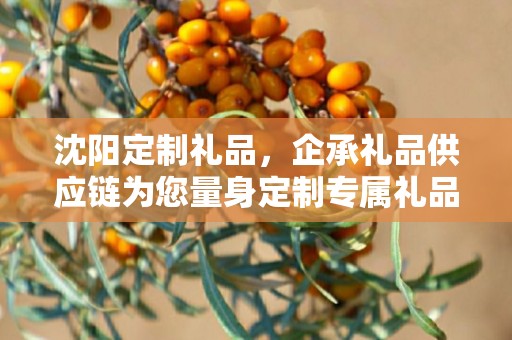 沈阳定制礼品，企承礼品供应链为您量身定制专属礼品