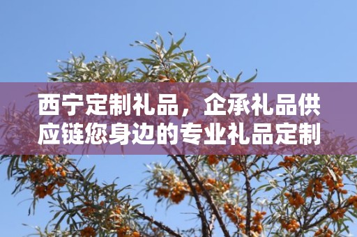 西宁定制礼品，企承礼品供应链您身边的专业礼品定制公司
