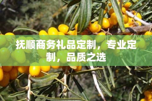 抚顺商务礼品定制，专业定制，品质之选
