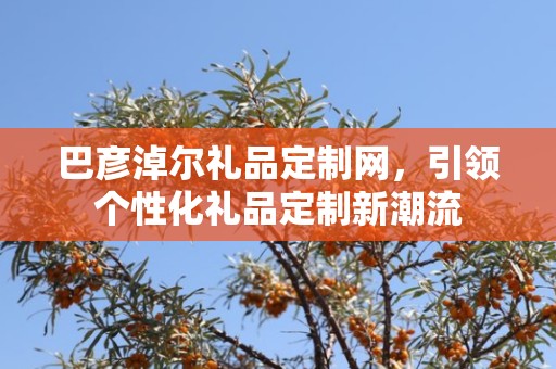 巴彦淖尔礼品定制网，引领个性化礼品定制新潮流