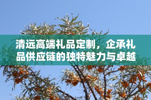 清远高端礼品定制，企承礼品供应链的独特魅力与卓越服务