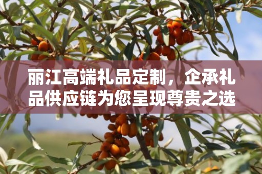 丽江高端礼品定制，企承礼品供应链为您呈现尊贵之选