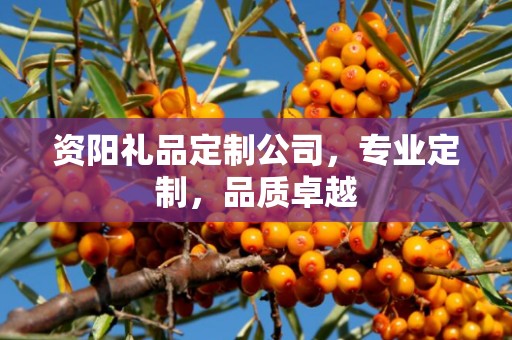 资阳礼品定制公司，专业定制，品质卓越
