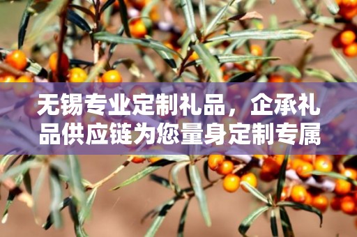 无锡专业定制礼品，企承礼品供应链为您量身定制专属礼品