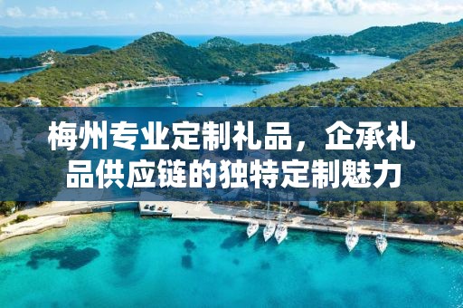 梅州专业定制礼品，企承礼品供应链的独特定制魅力