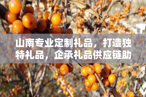 山南专业定制礼品，打造独特礼品，企承礼品供应链助力商务发展