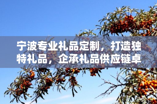 宁波专业礼品定制，打造独特礼品，企承礼品供应链卓越服务