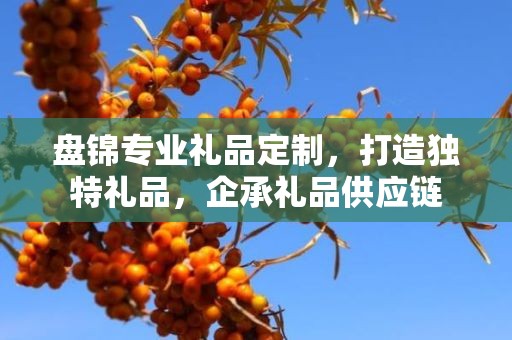 盘锦专业礼品定制，打造独特礼品，企承礼品供应链