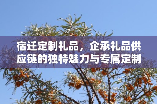 宿迁定制礼品，企承礼品供应链的独特魅力与专属定制体验
