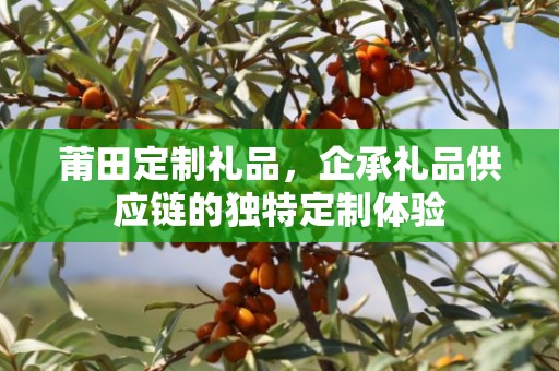 莆田定制礼品，企承礼品供应链的独特定制体验