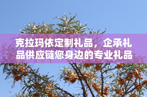克拉玛依定制礼品，企承礼品供应链您身边的专业礼品定制公司