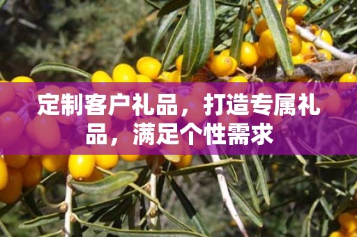 定制客户礼品，打造专属礼品，满足个性需求