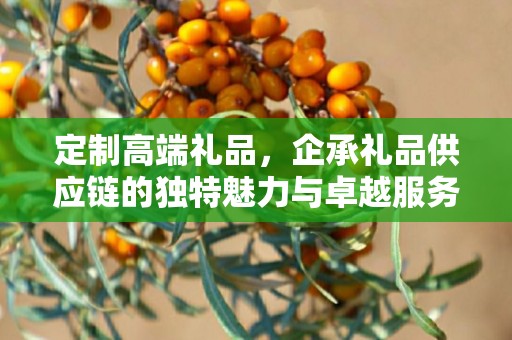 定制高端礼品，企承礼品供应链的独特魅力与卓越服务