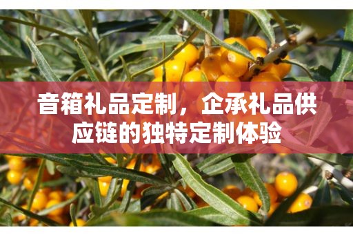 音箱礼品定制，企承礼品供应链的独特定制体验