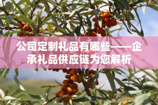 公司定制礼品有哪些——企承礼品供应链为您解析
