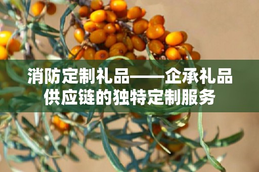 消防定制礼品——企承礼品供应链的独特定制服务