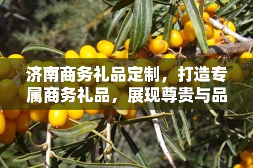 济南商务礼品定制，打造专属商务礼品，展现尊贵与品味