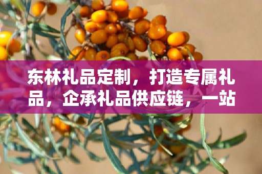 东林礼品定制，打造专属礼品，企承礼品供应链，一站式服务满足您的商务需求