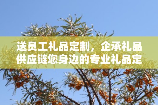 送员工礼品定制，企承礼品供应链您身边的专业礼品定制公司