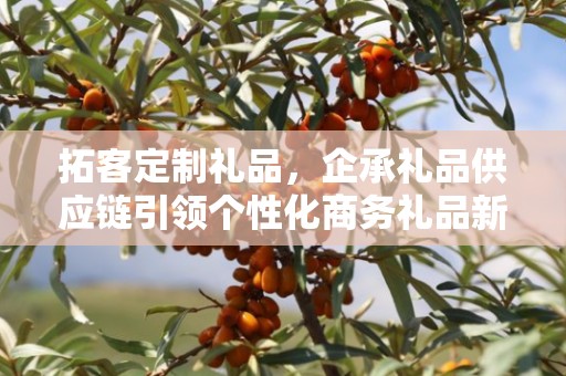 拓客定制礼品，企承礼品供应链引领个性化商务礼品新潮流