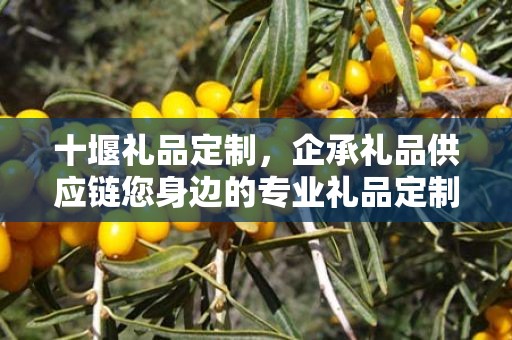 十堰礼品定制，企承礼品供应链您身边的专业礼品定制公司