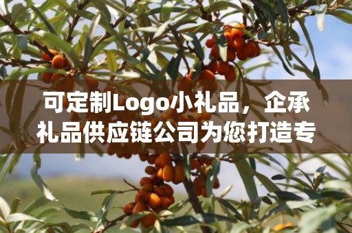 可定制Logo小礼品，企承礼品供应链公司为您打造专属礼品