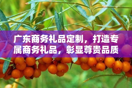 广东商务礼品定制，打造专属商务礼品，彰显尊贵品质