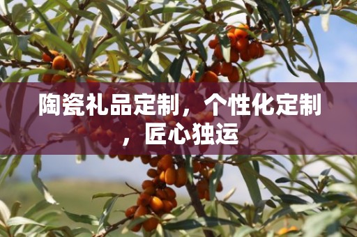 陶瓷礼品定制，个性化定制，匠心独运