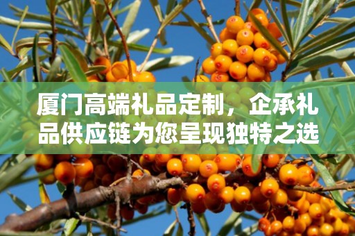 厦门高端礼品定制，企承礼品供应链为您呈现独特之选