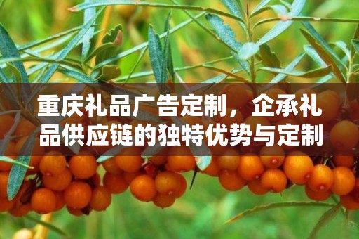 定制潮顽礼品，引领潮流，展现个性之选